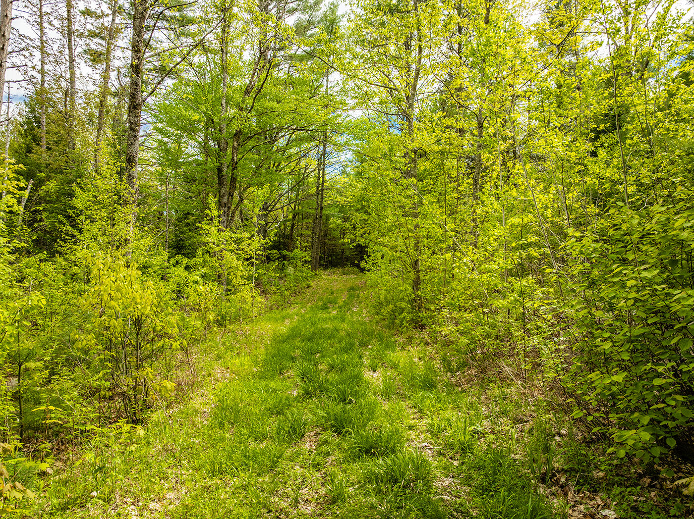 572 Old County Road