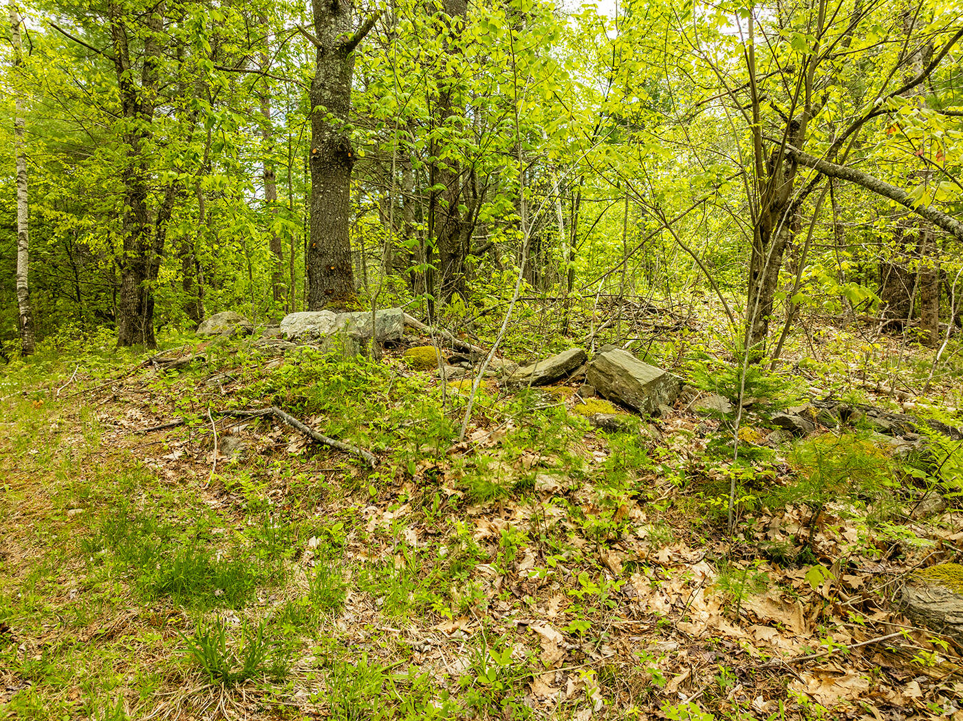 572 Old County Road