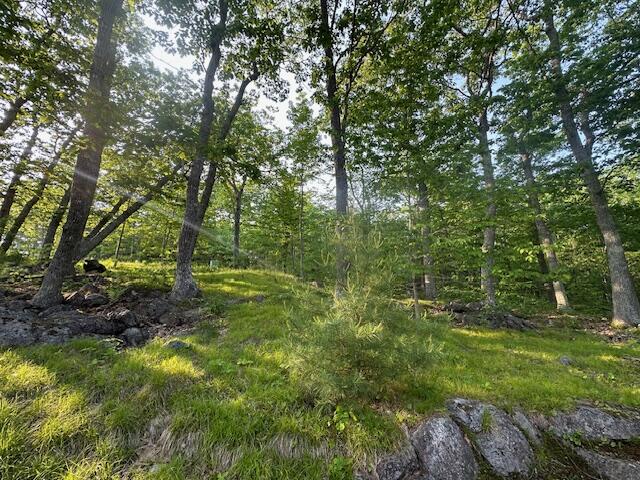 35 Spring Mountain Drive