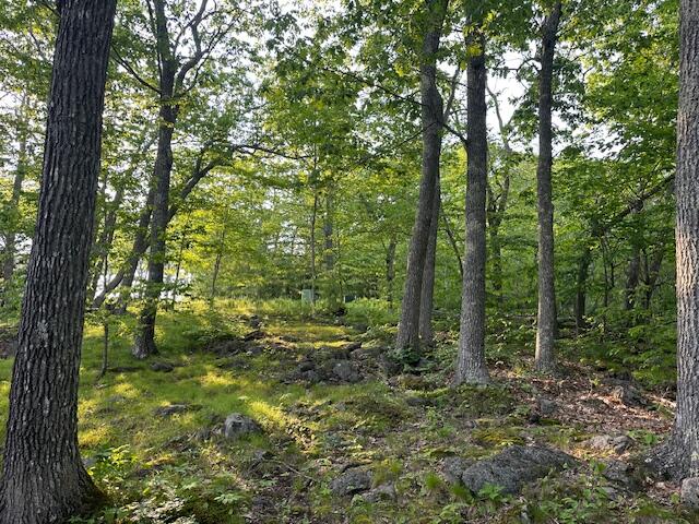 35 Spring Mountain Drive