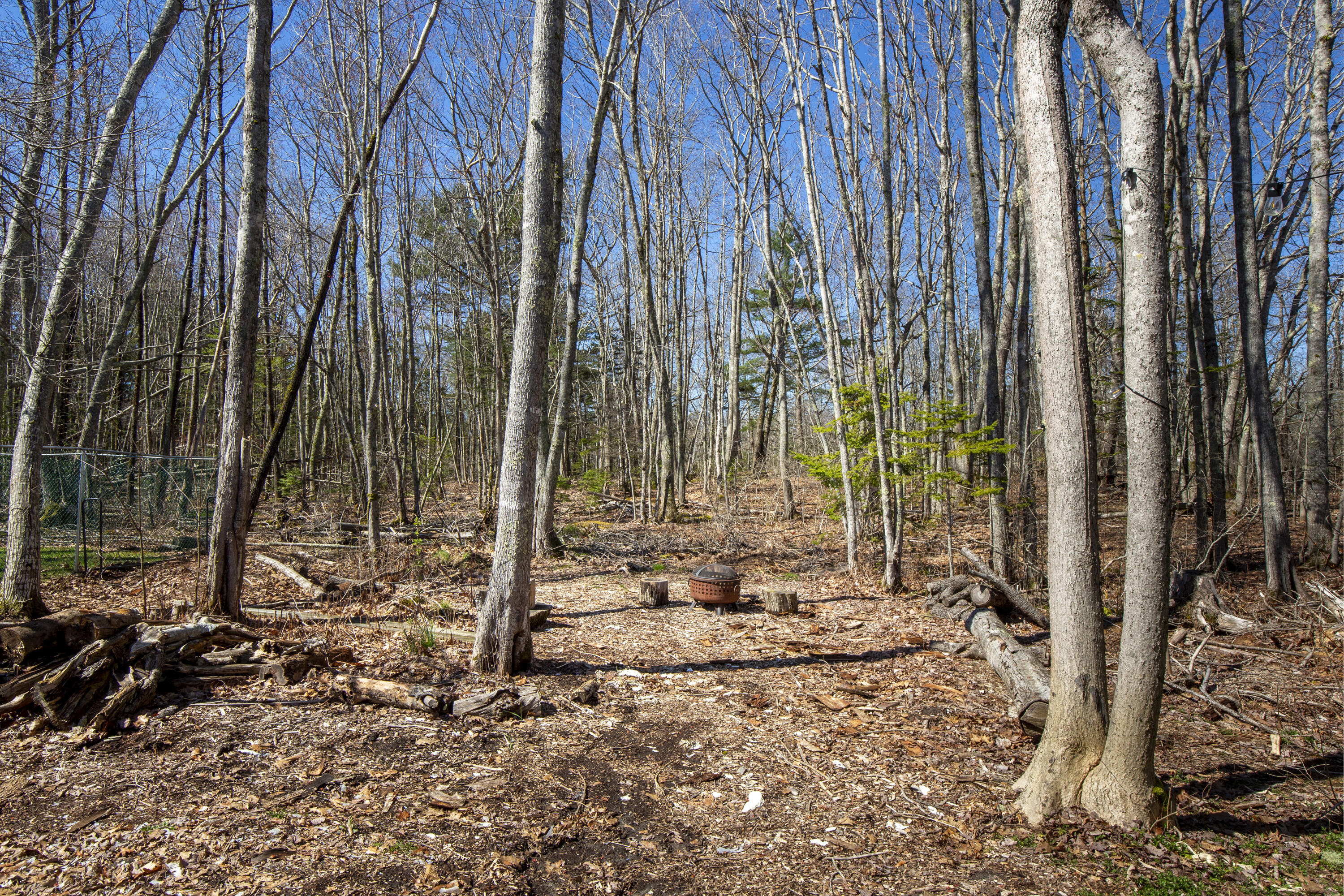 29 Oak Run