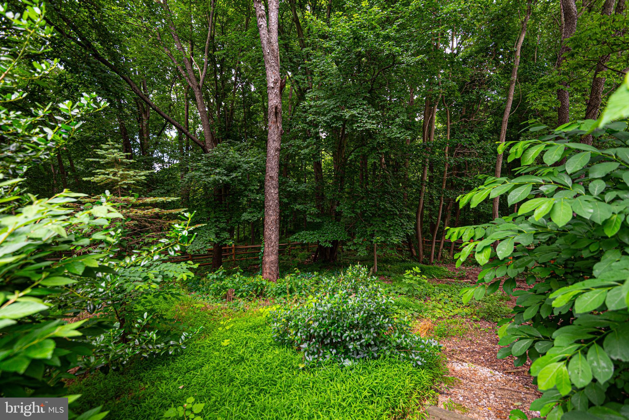 11 FOREST RIDGE