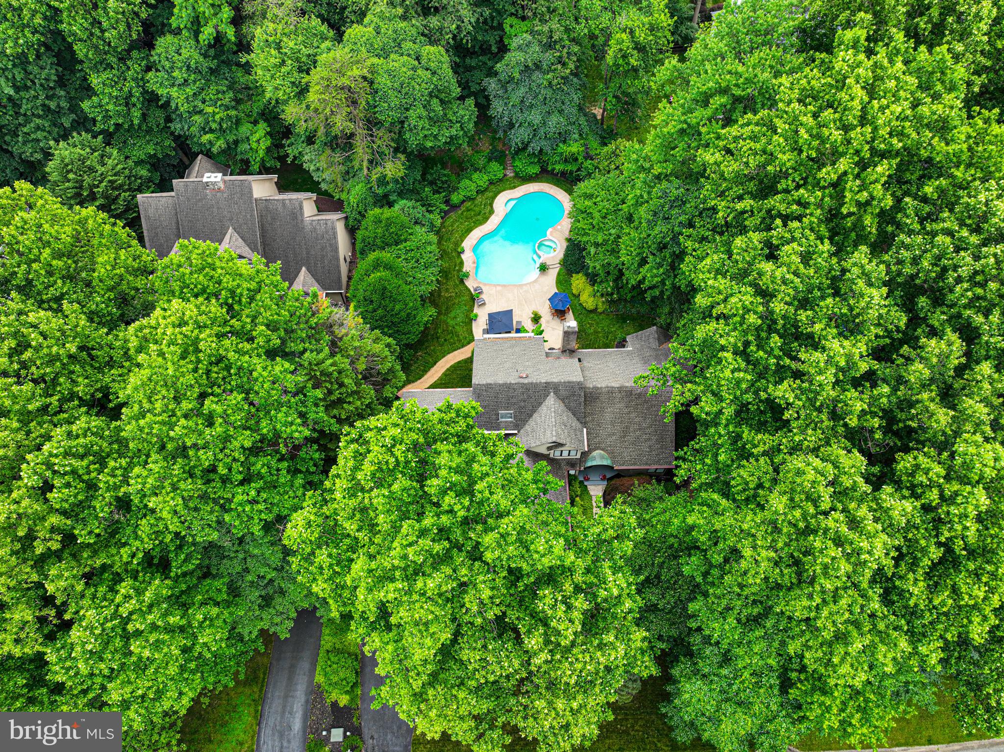 11 FOREST RIDGE