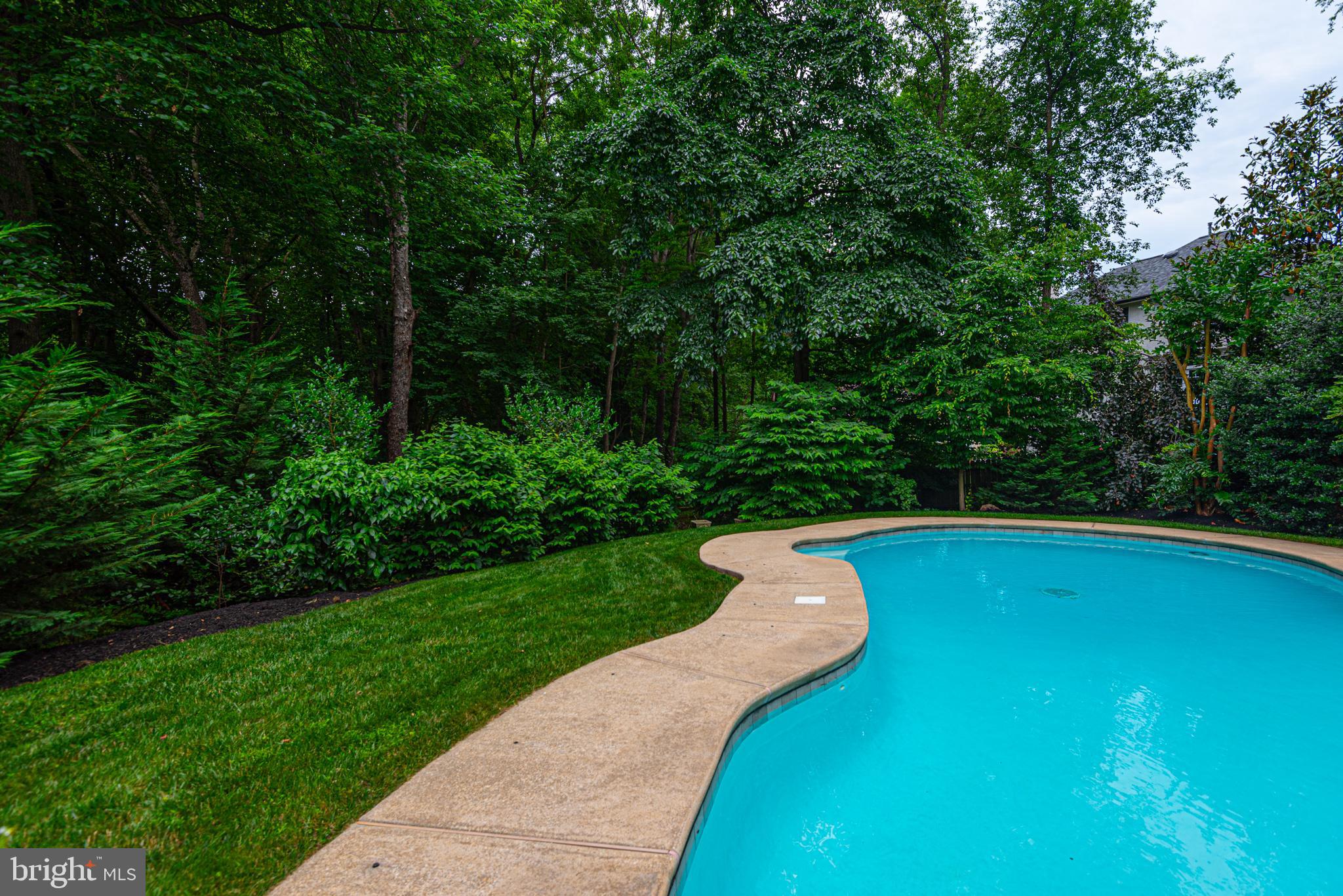 11 FOREST RIDGE