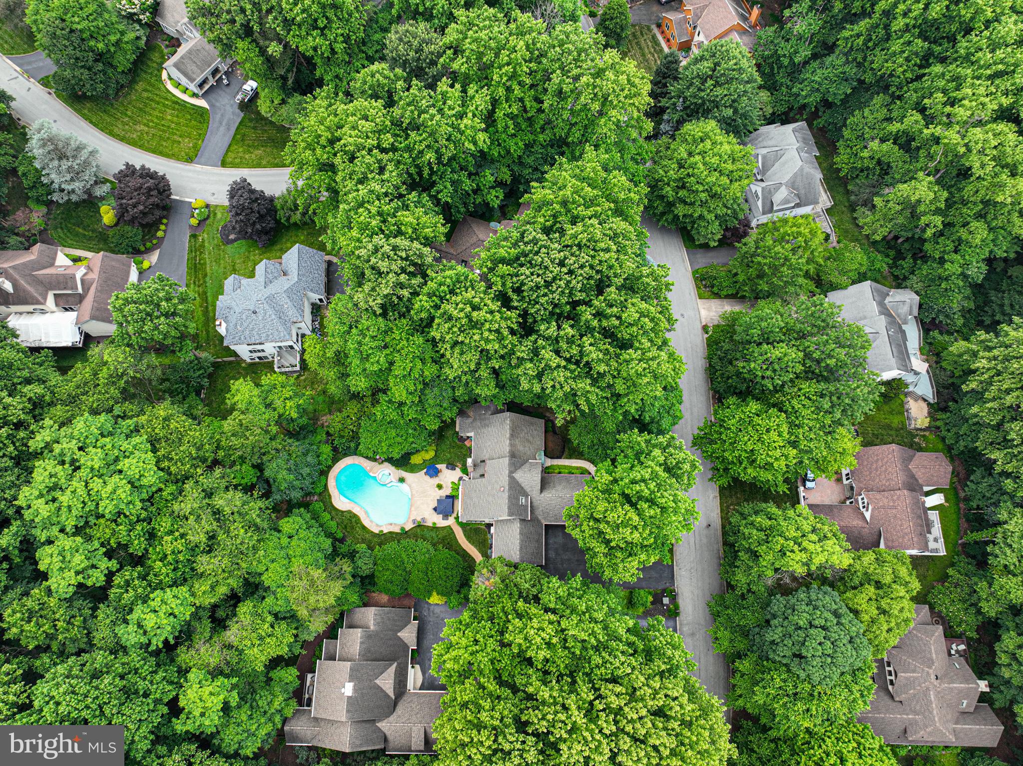 11 FOREST RIDGE