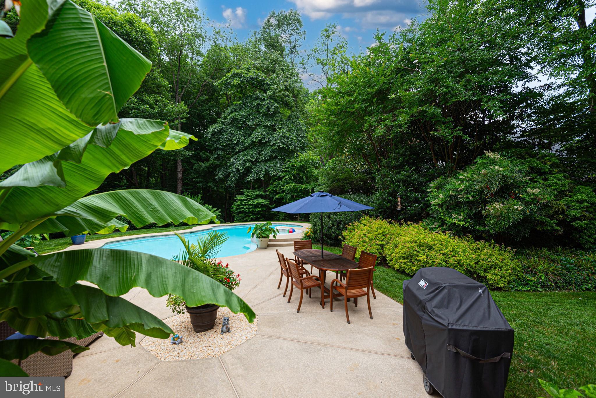 11 FOREST RIDGE