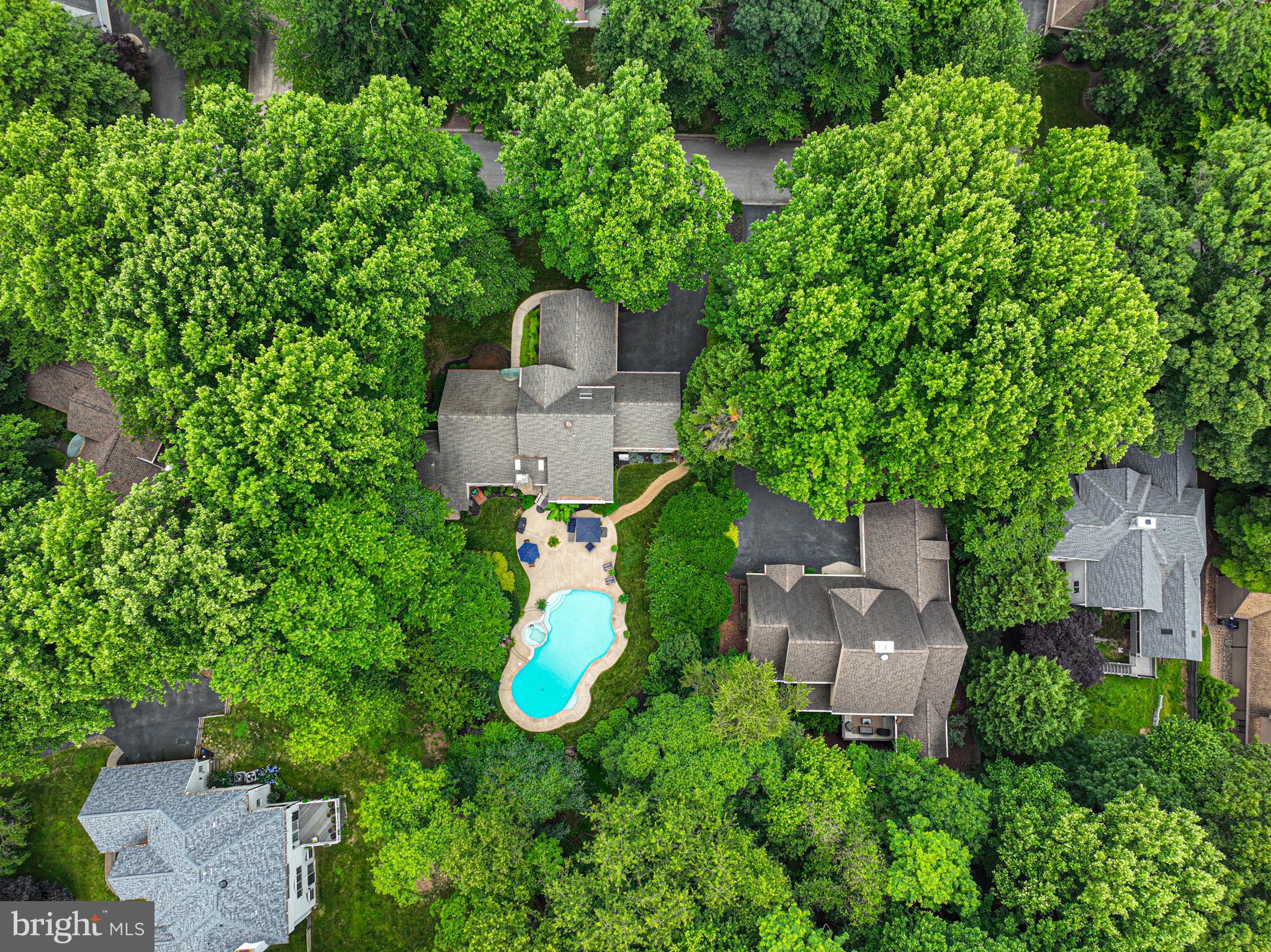 11 FOREST RIDGE