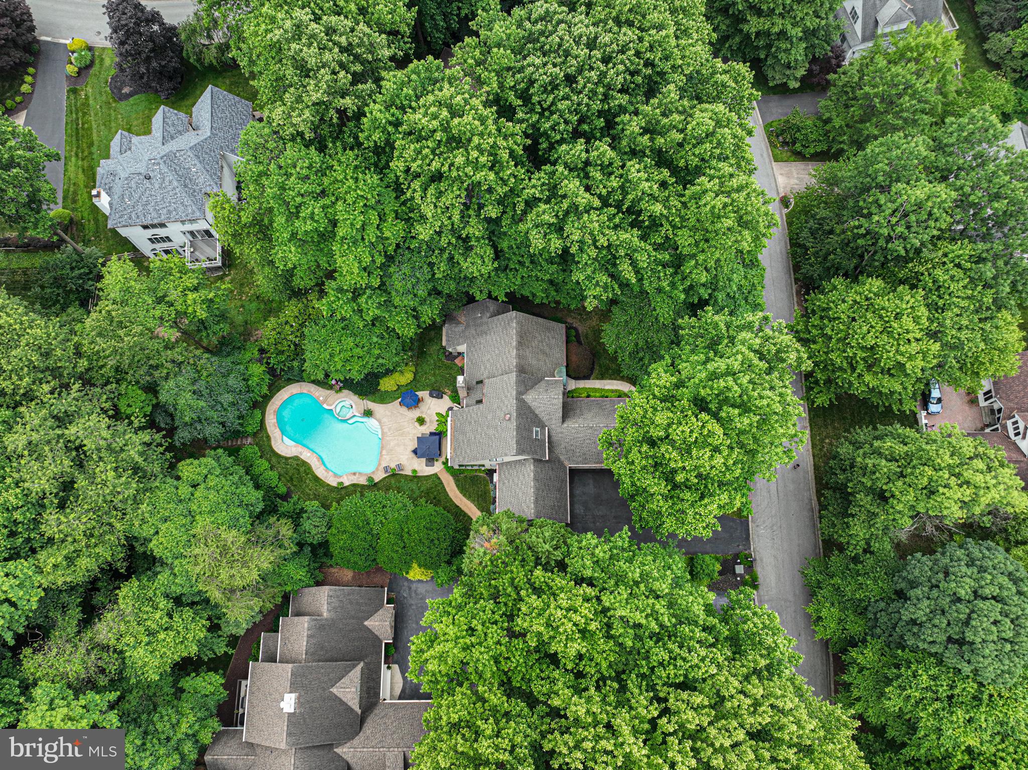 11 FOREST RIDGE