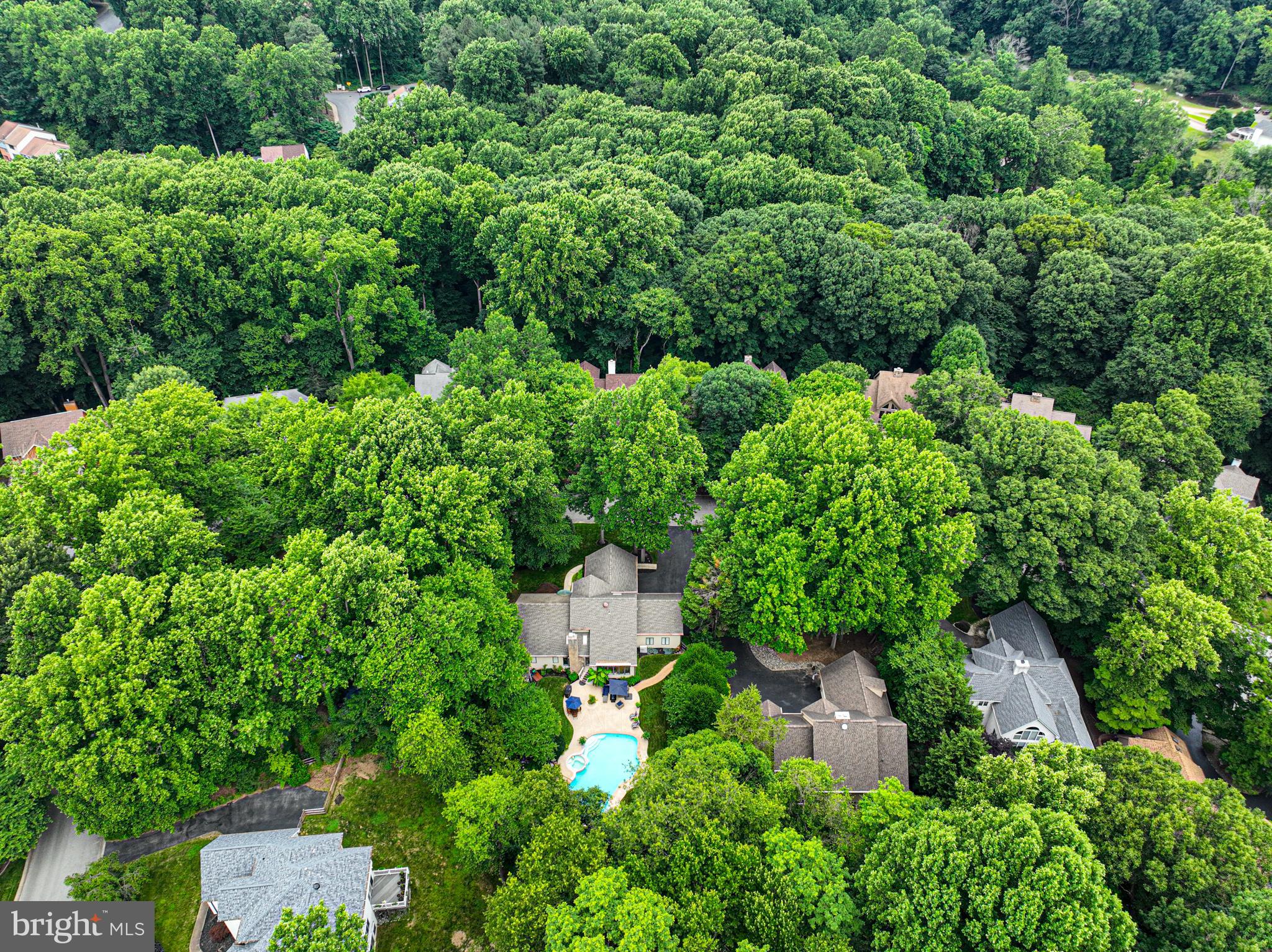 11 FOREST RIDGE