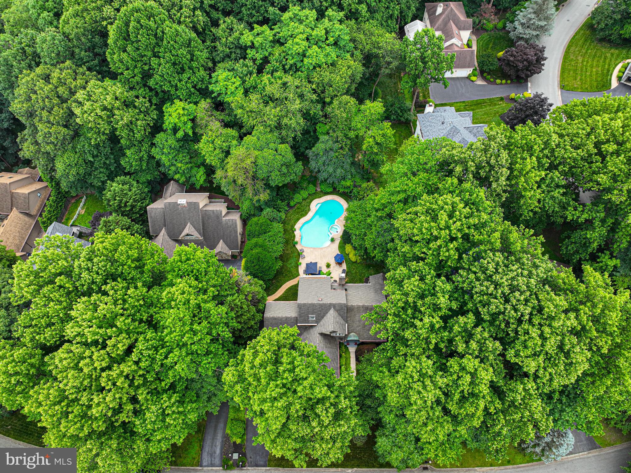 11 FOREST RIDGE
