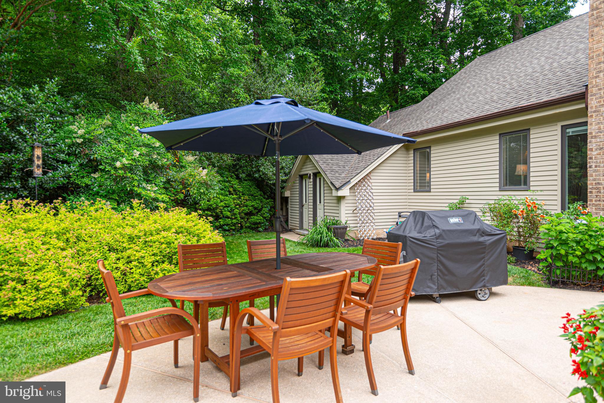 11 FOREST RIDGE