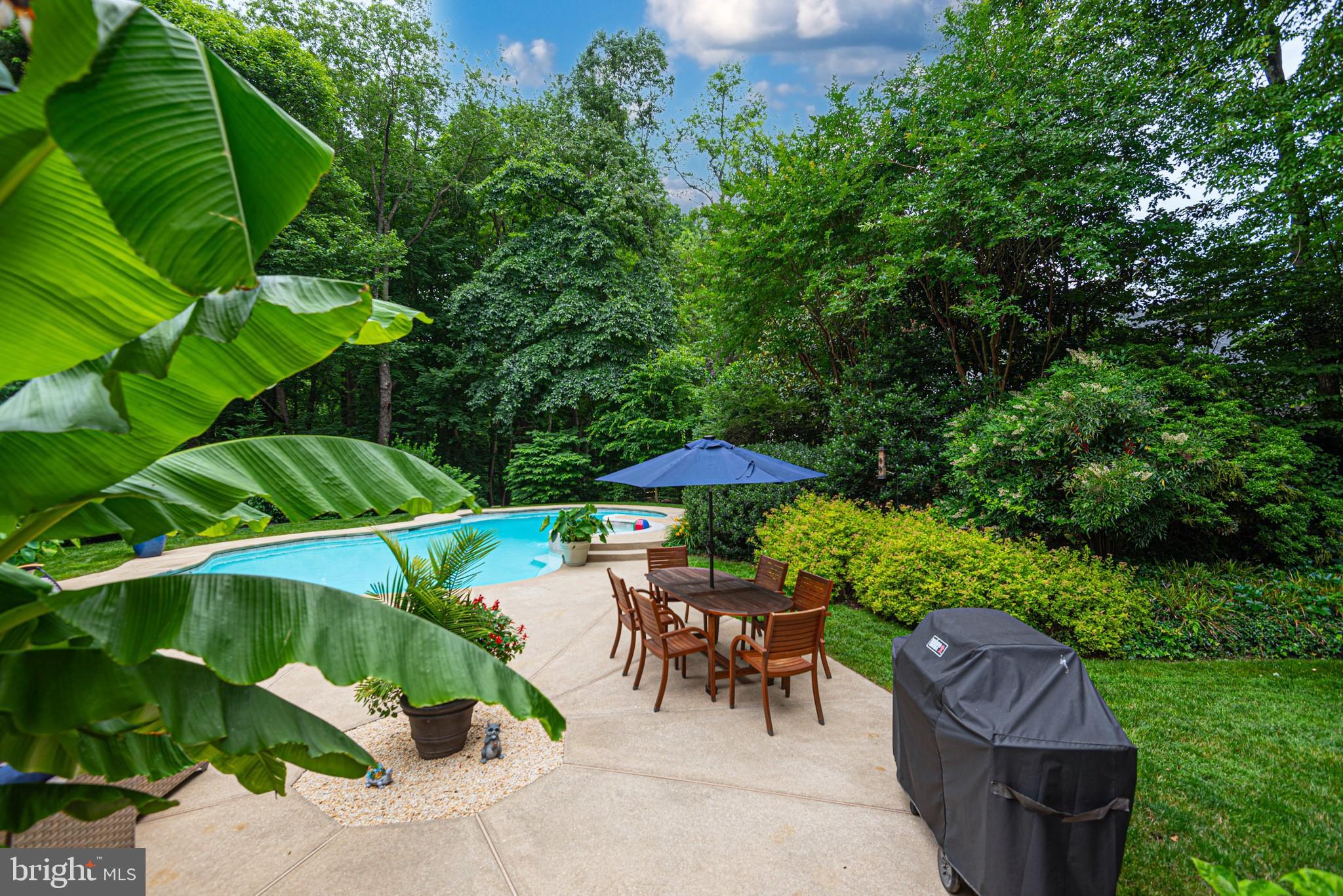 11 FOREST RIDGE