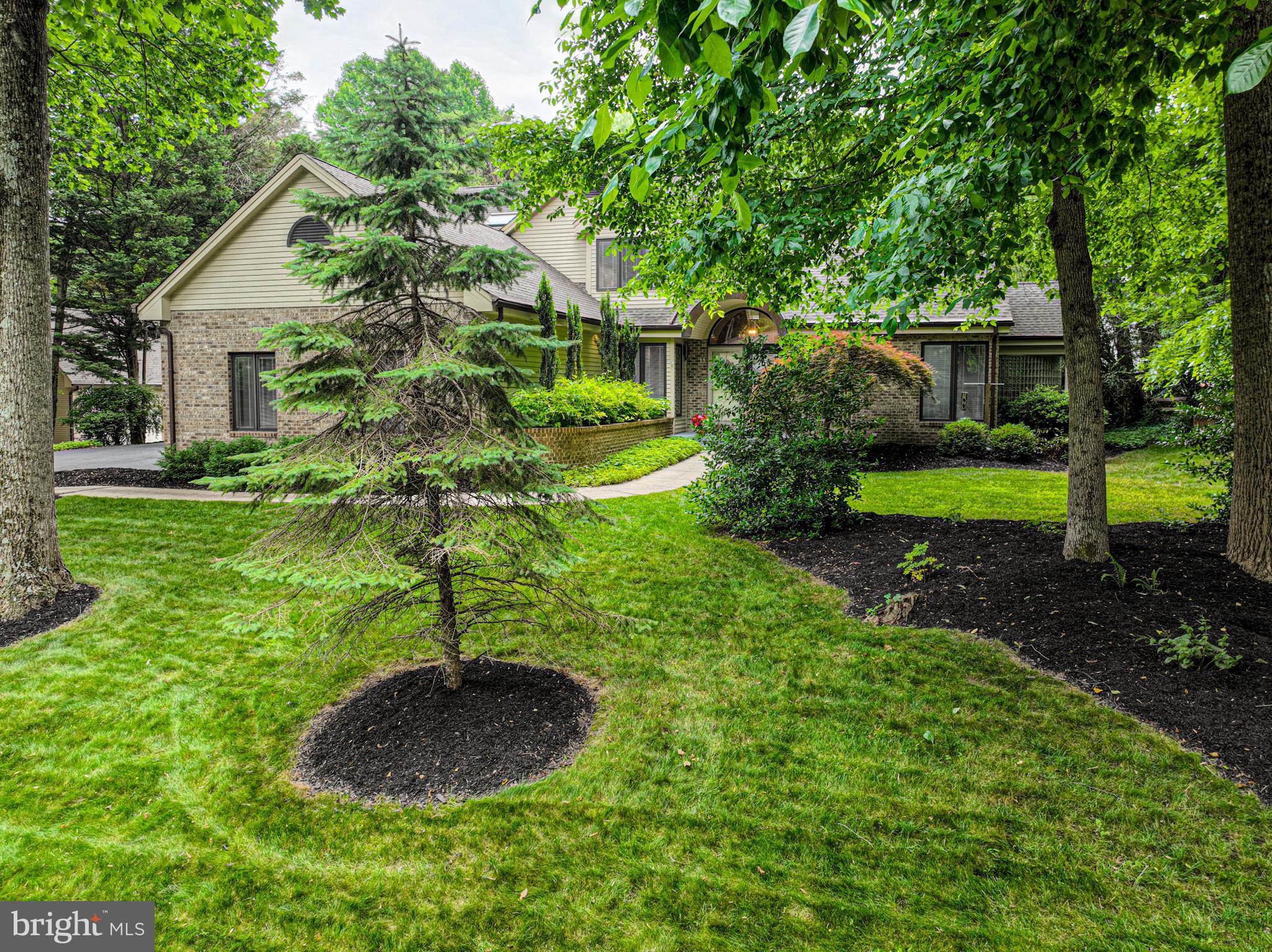 11 FOREST RIDGE