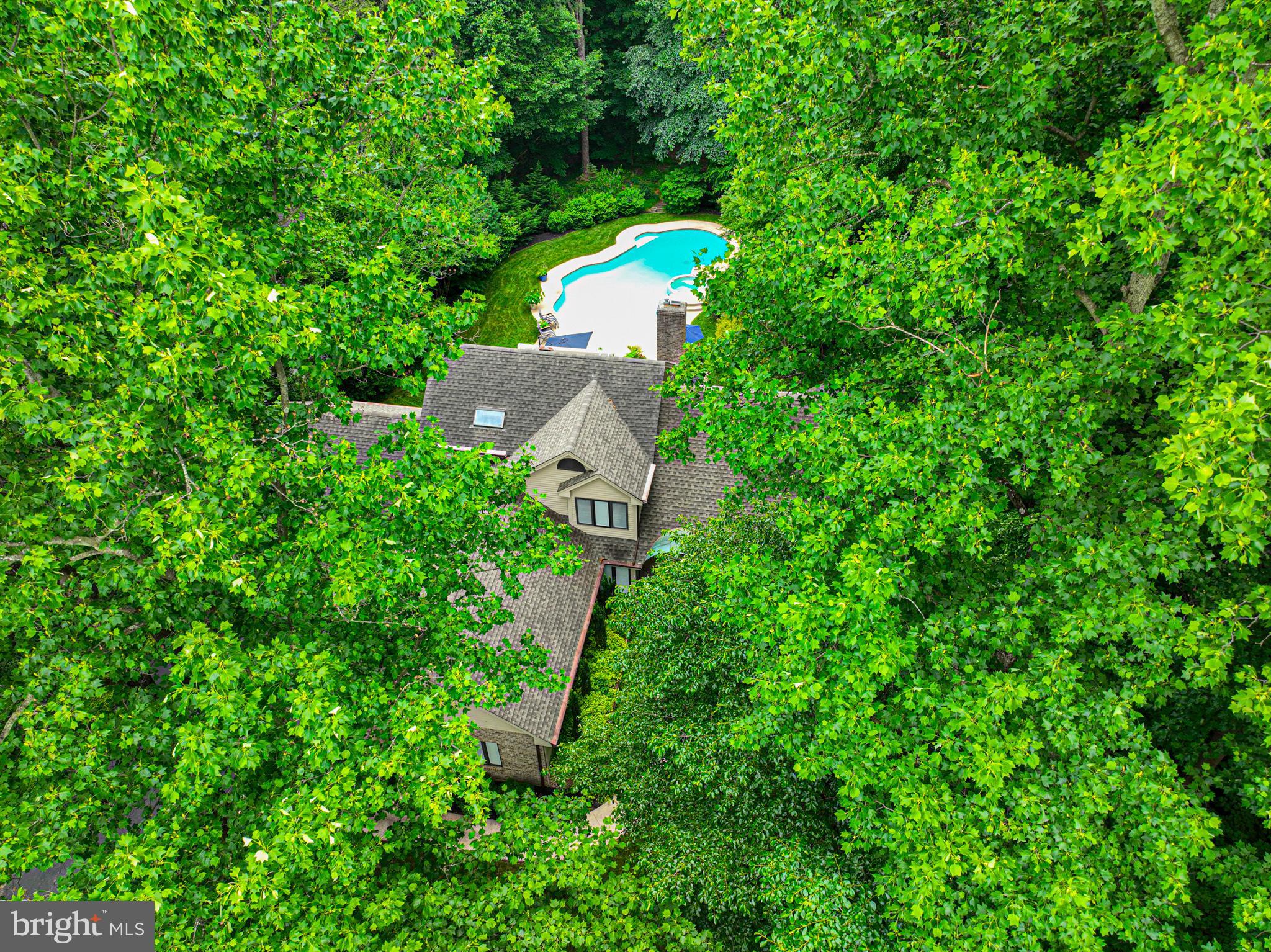 11 FOREST RIDGE