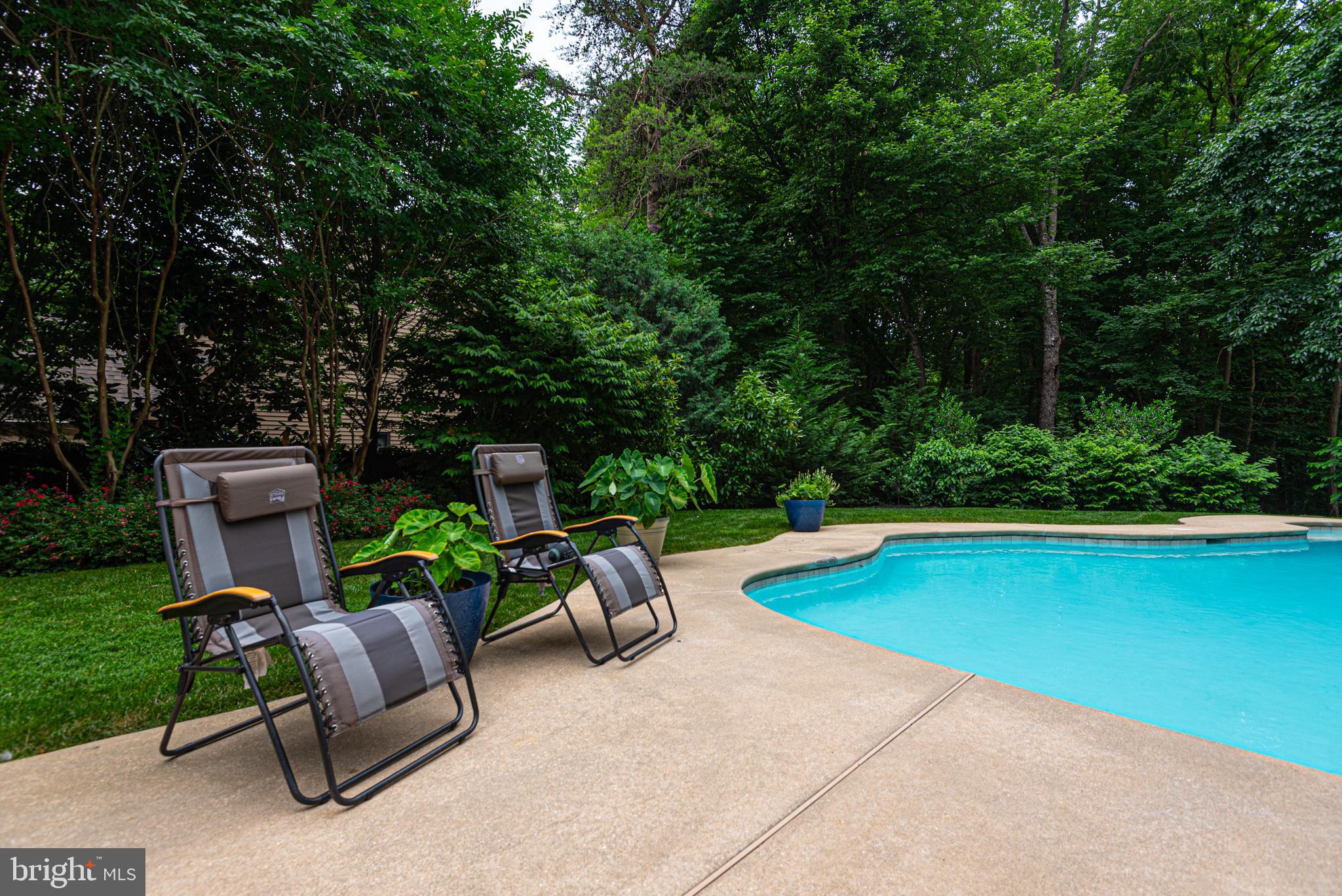 11 FOREST RIDGE