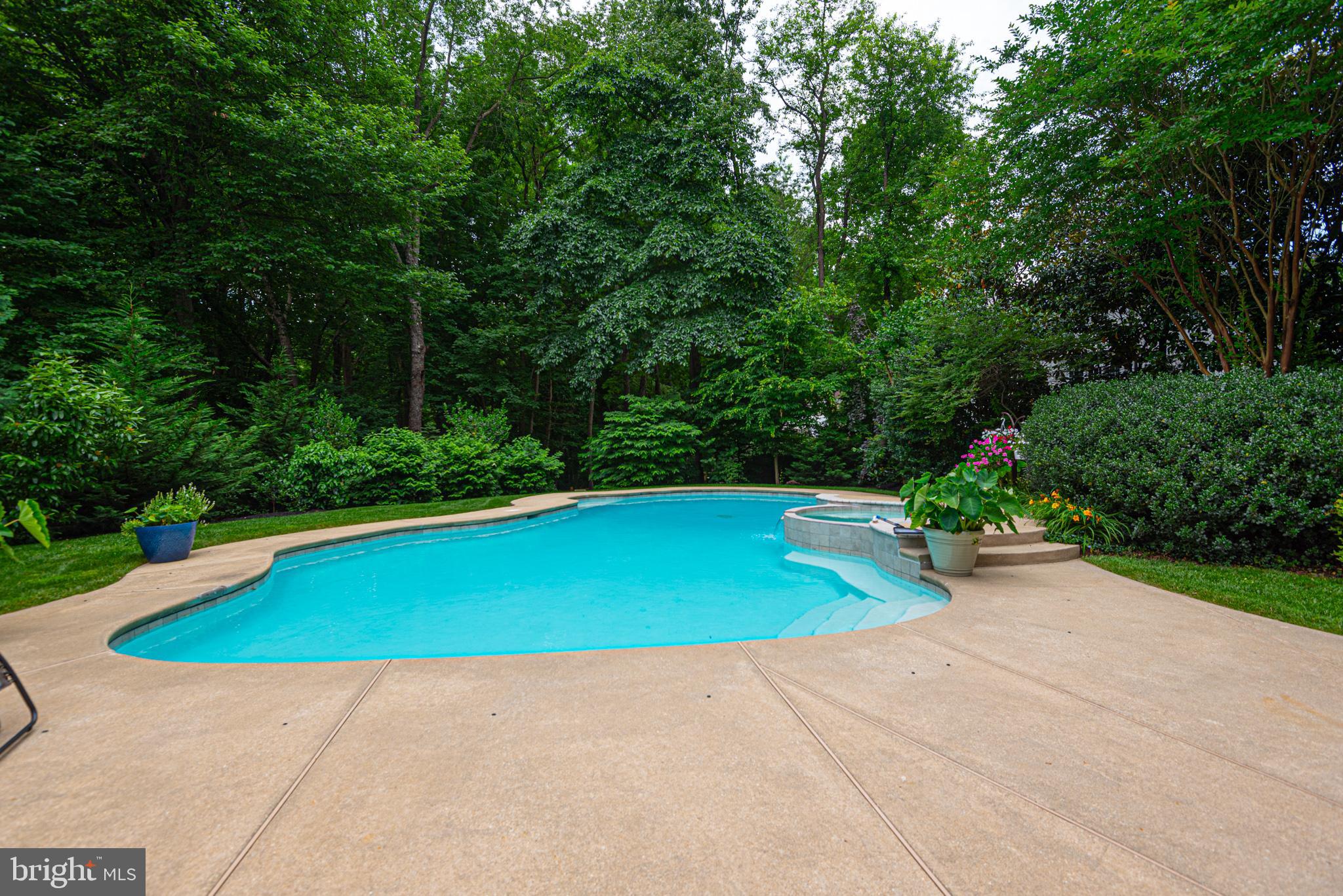 11 FOREST RIDGE