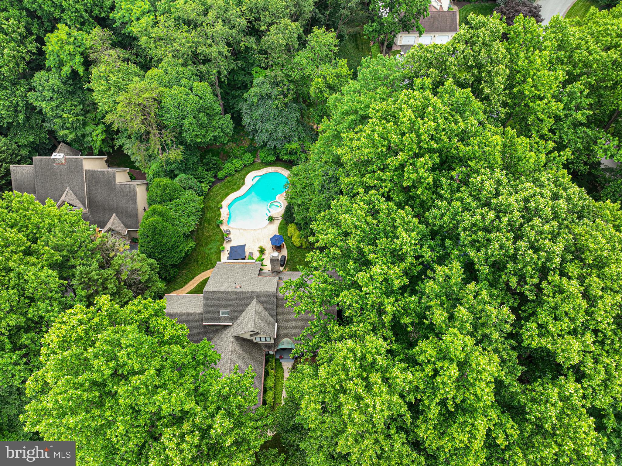 11 FOREST RIDGE