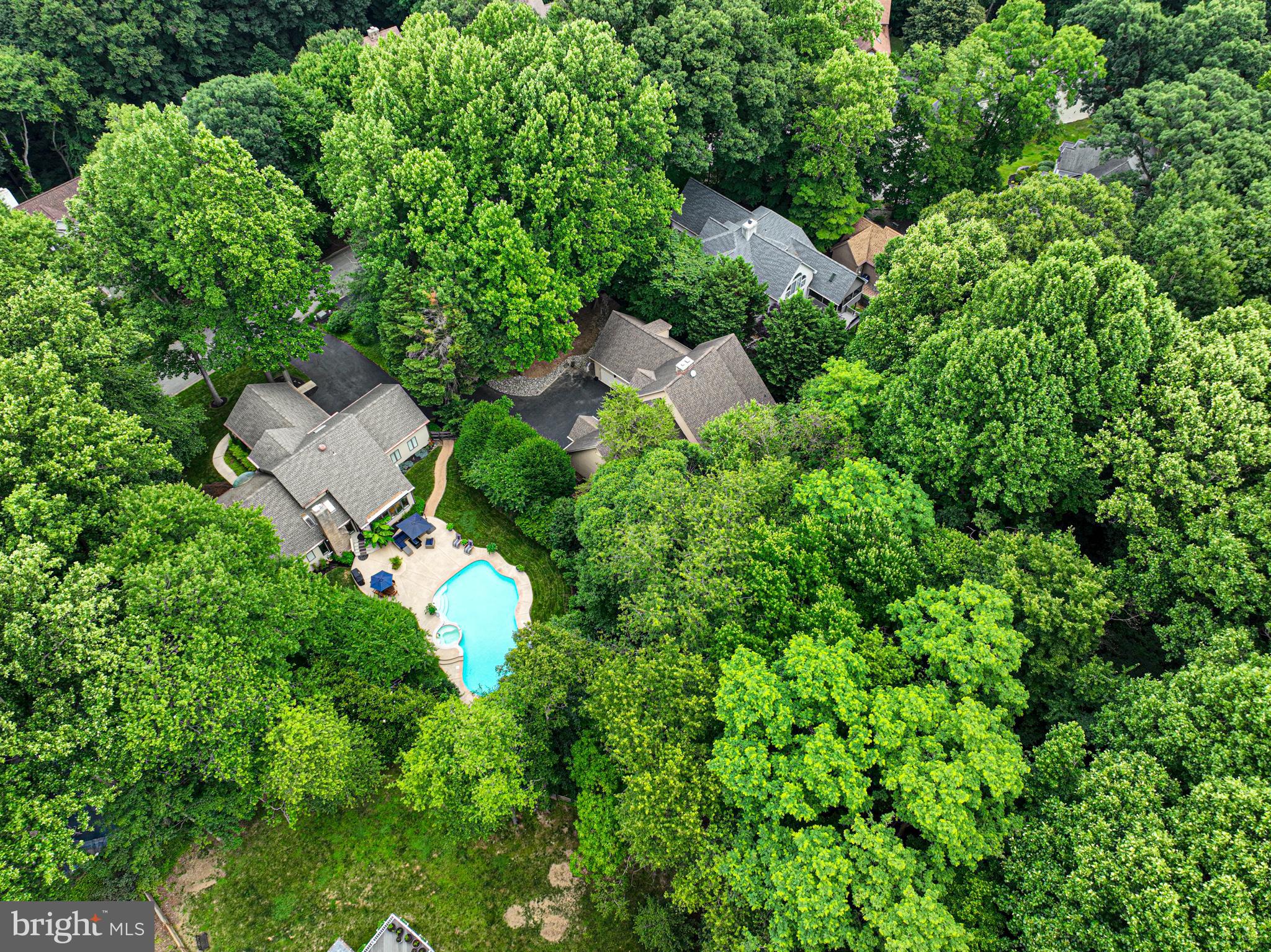 11 FOREST RIDGE