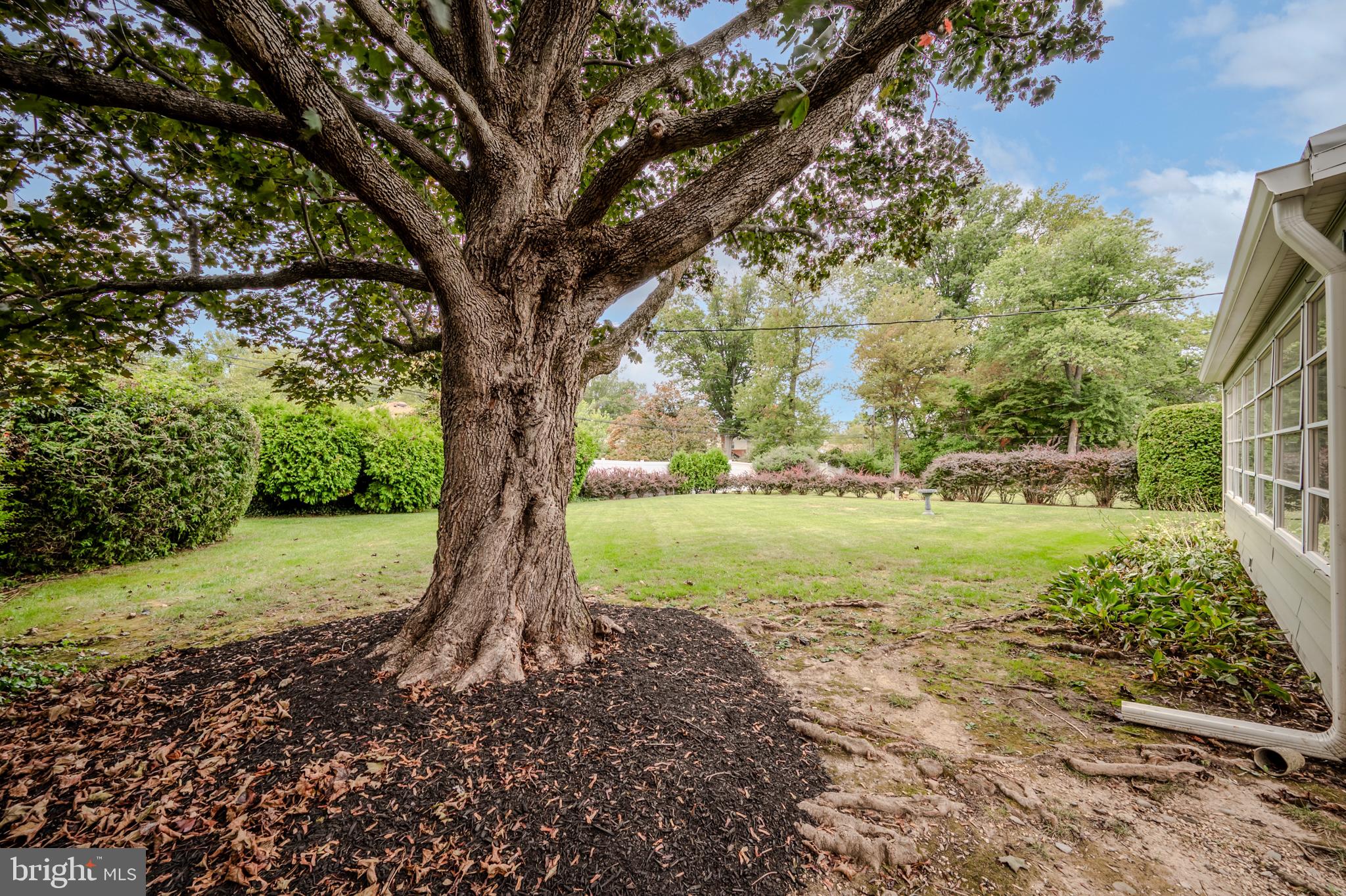1903 BRANT ROAD