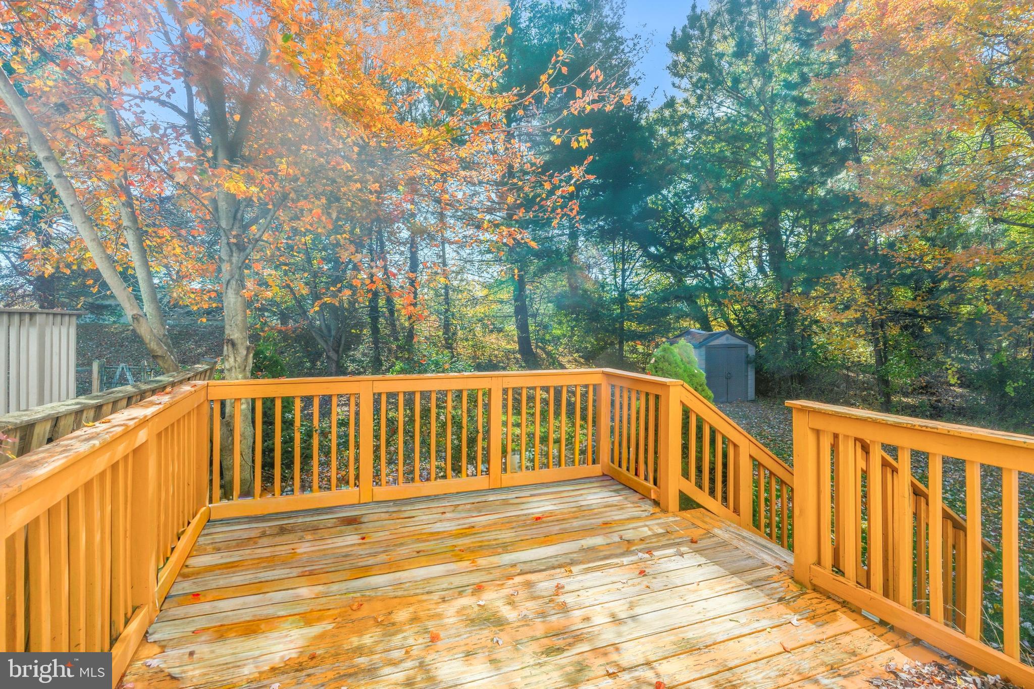 117 W SHETLAND COURT