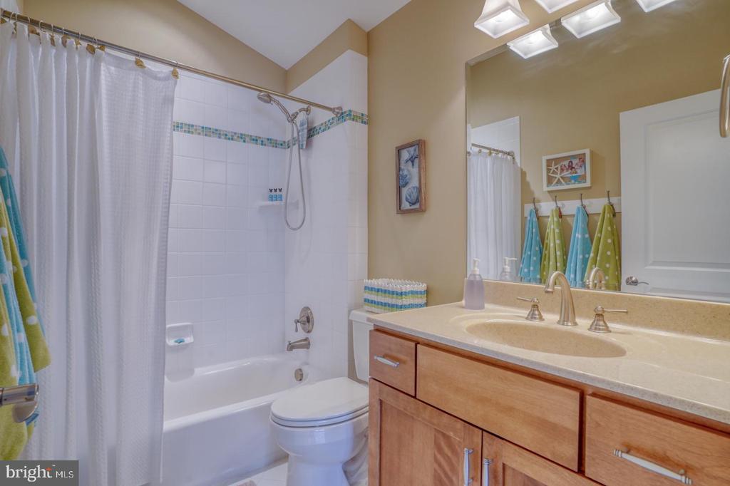 36102 VIREO CIRCLE