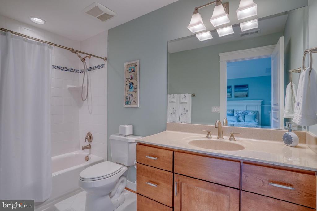 36102 VIREO CIRCLE