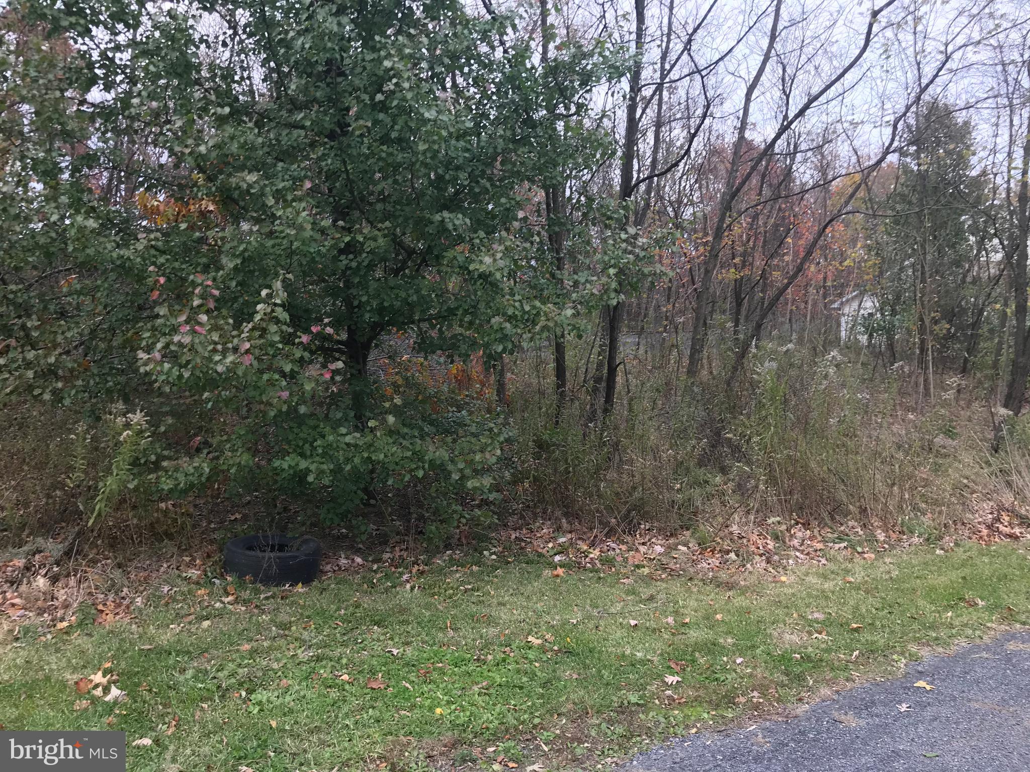 11813 ILLINOIS AVENUE