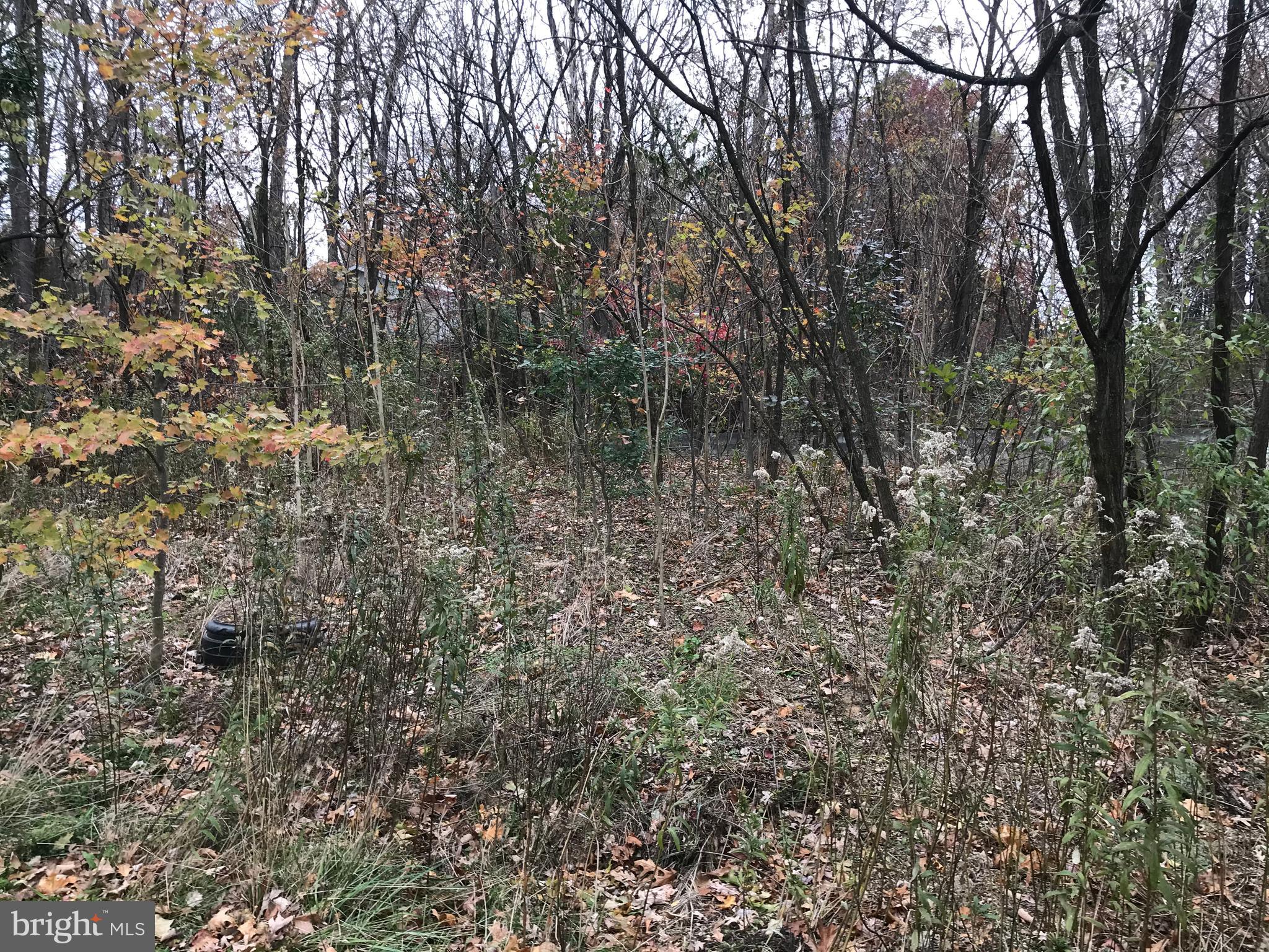 11813 ILLINOIS AVENUE