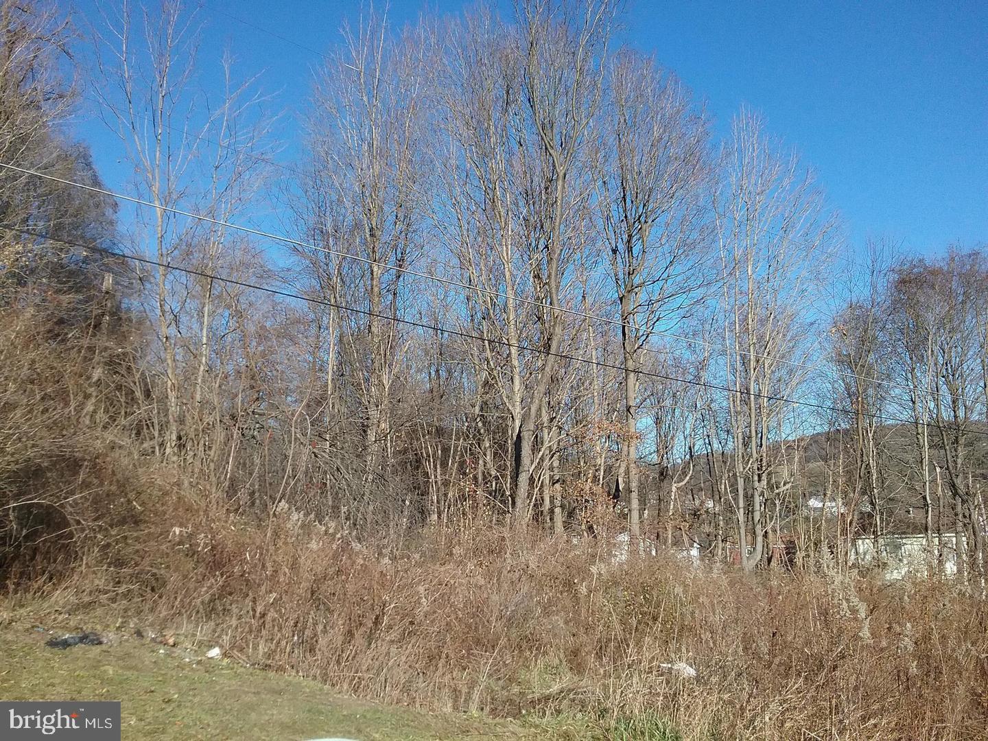 ROUTE 40 ROAD