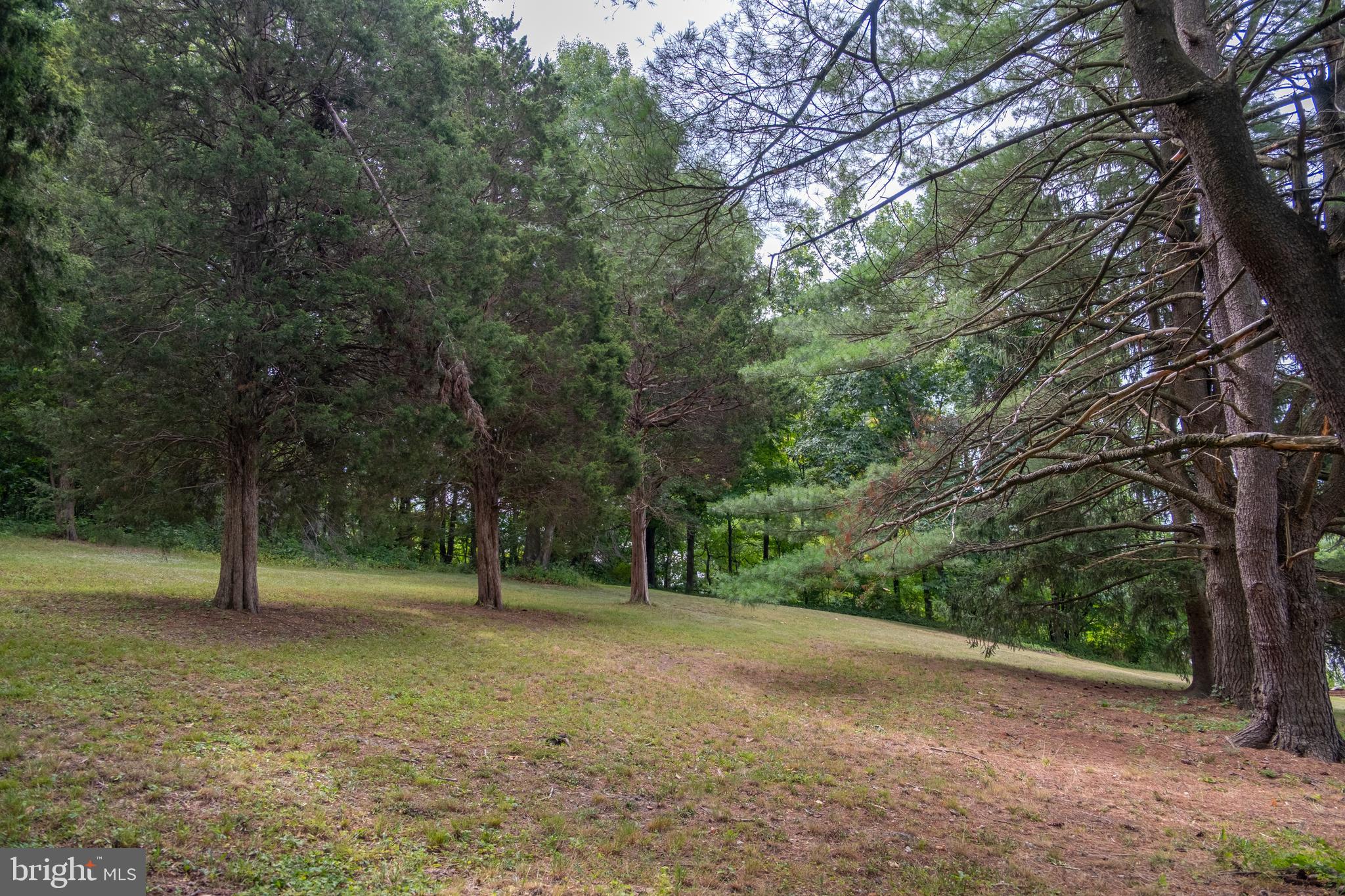 14019 CEDARWOOD DRIVE SW