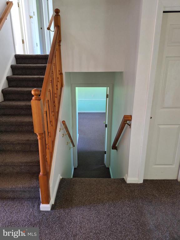 11017 RAVEN DRIVE