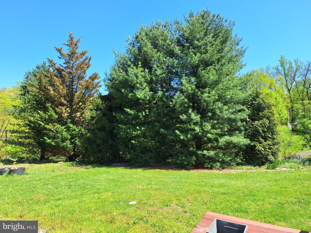 11017 RAVEN DRIVE