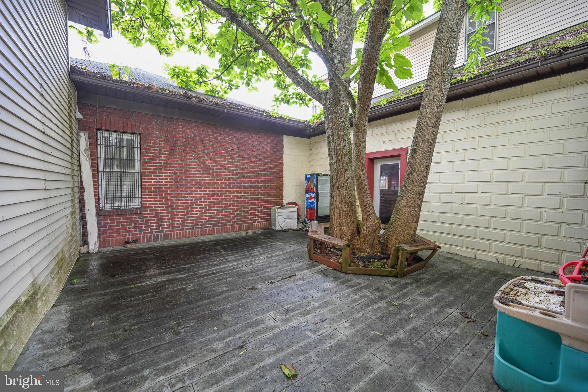 254 MAPLE STREET