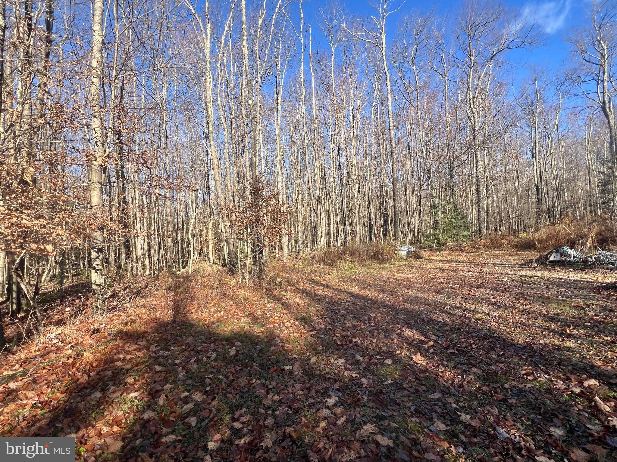 Lot 1 FOXTOWN ROAD