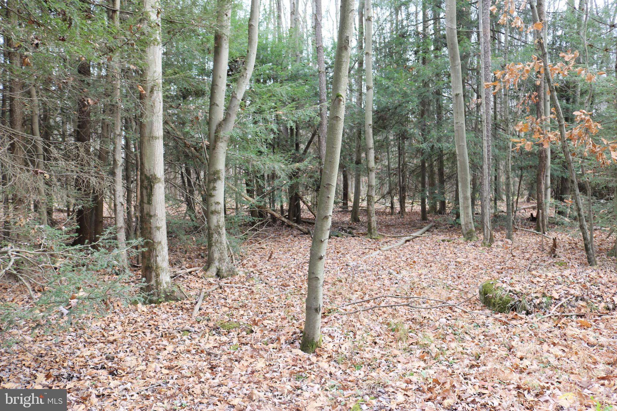 Lot 1 FOXTOWN ROAD