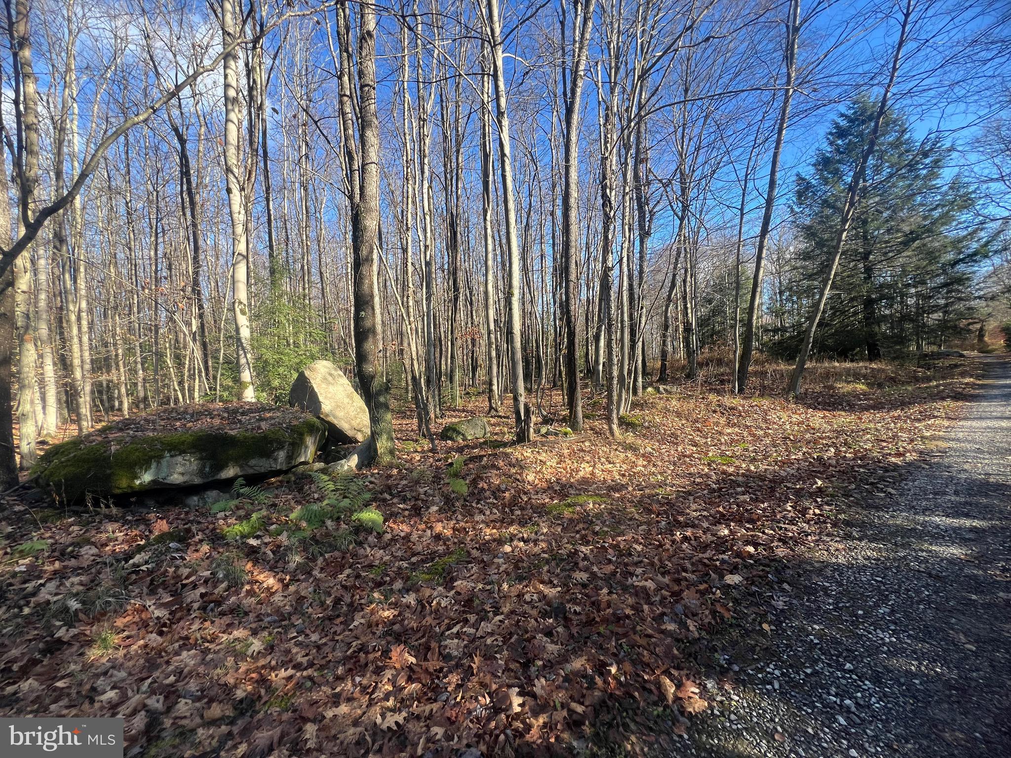Lot 3 FOXTOWN ROAD