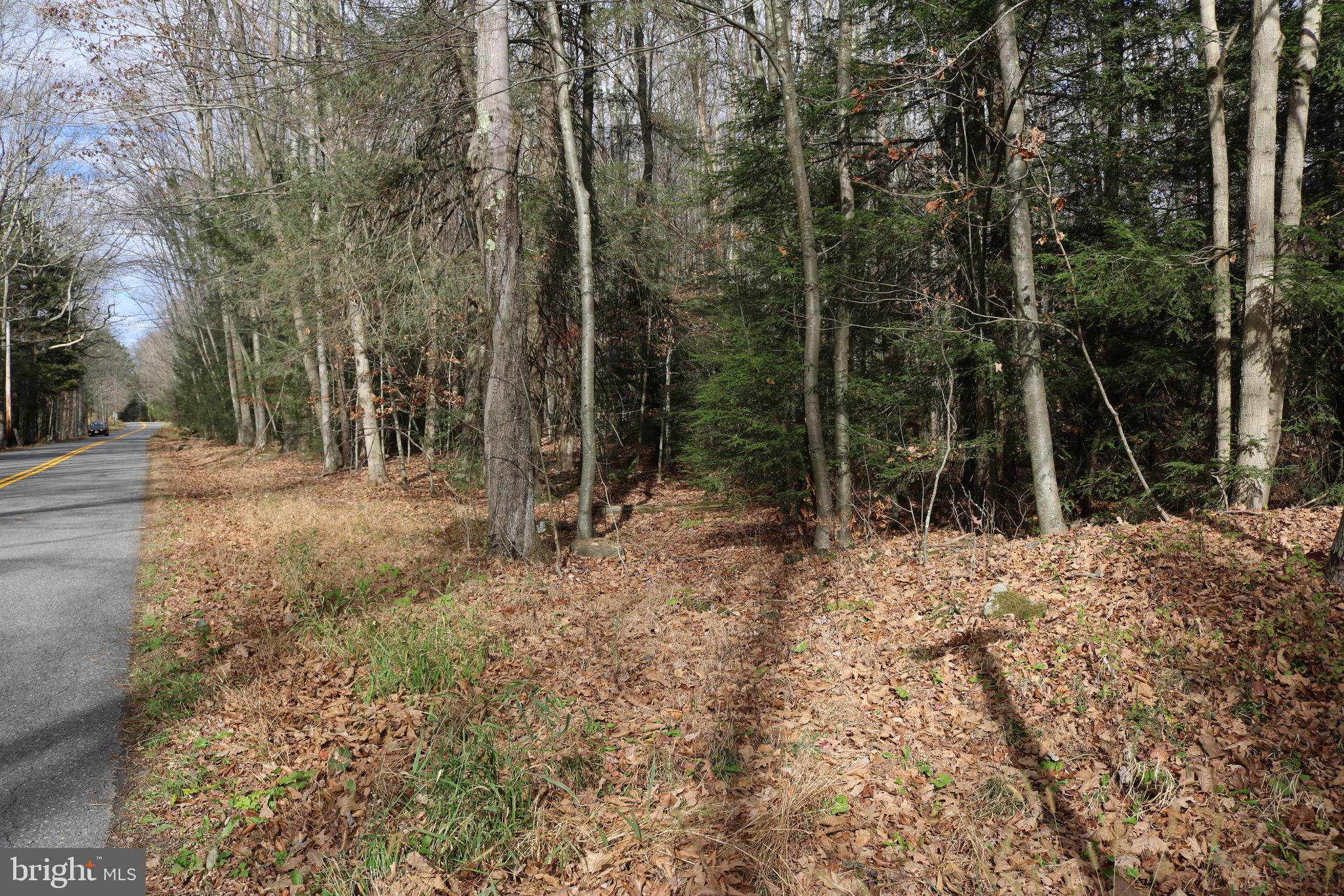 Lot 3 FOXTOWN ROAD