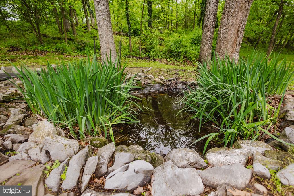 333 WHITE OAKS DRIVE