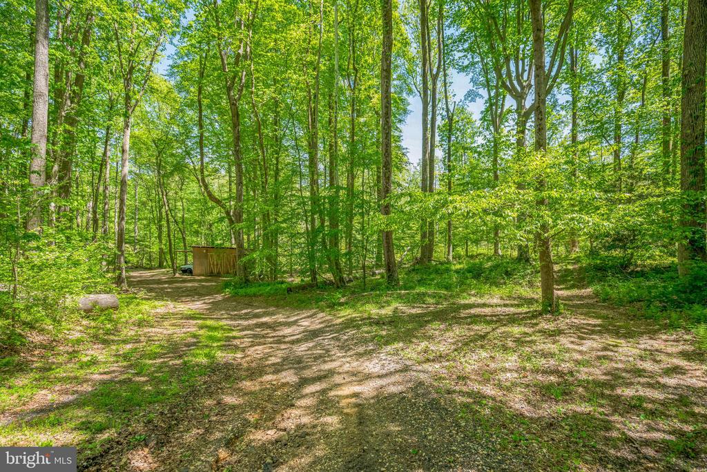 5476 HUCKLEBERRY DRIVE