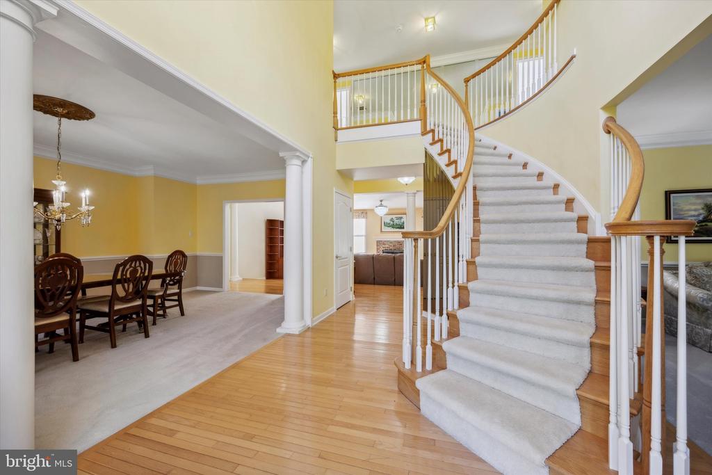 1 ROSE TREE DRIVE
