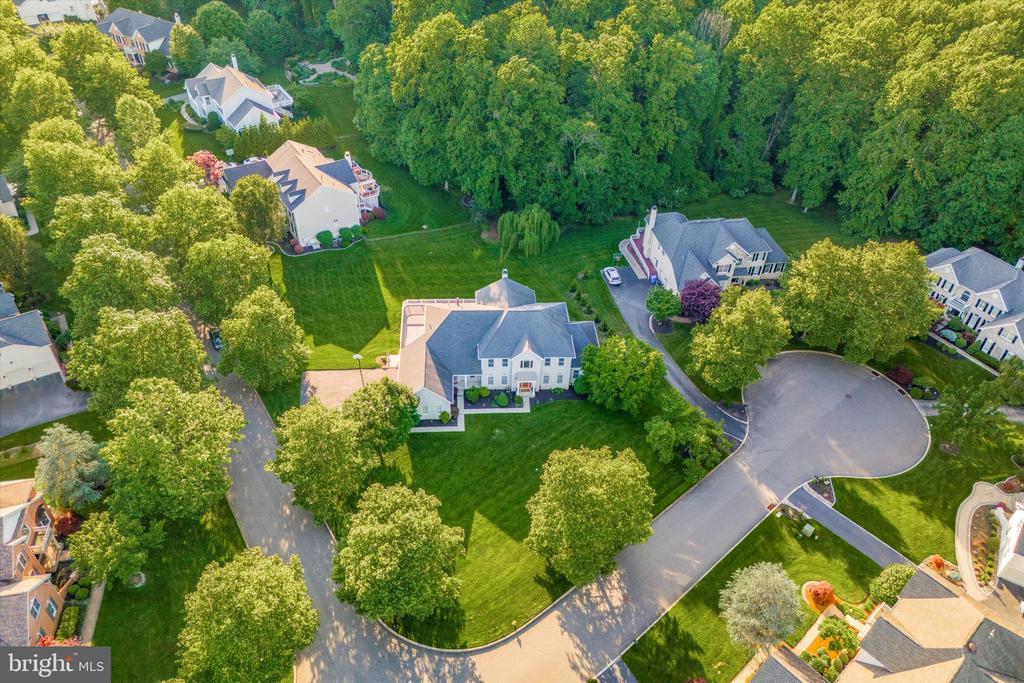 1 ROSE TREE DRIVE