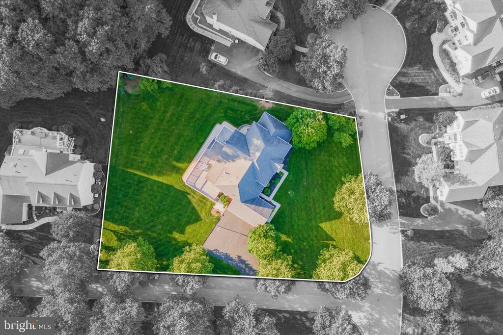 1 ROSE TREE DRIVE