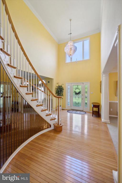 1 ROSE TREE DRIVE