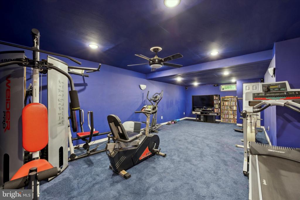 1 ROSE TREE DRIVE