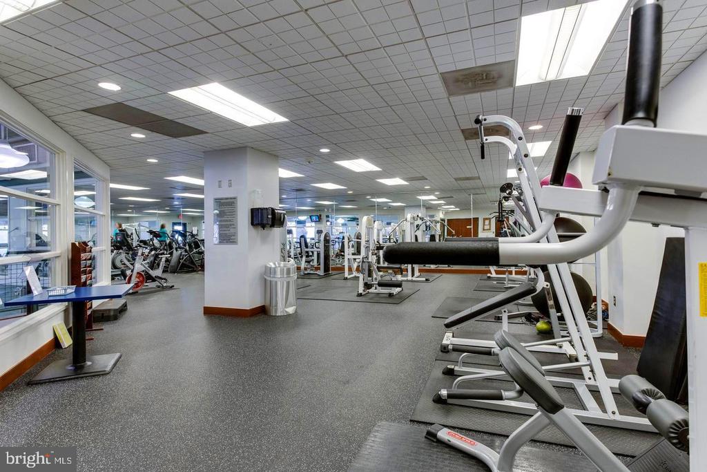 307 YOAKUM PARKWAY Unit: 816