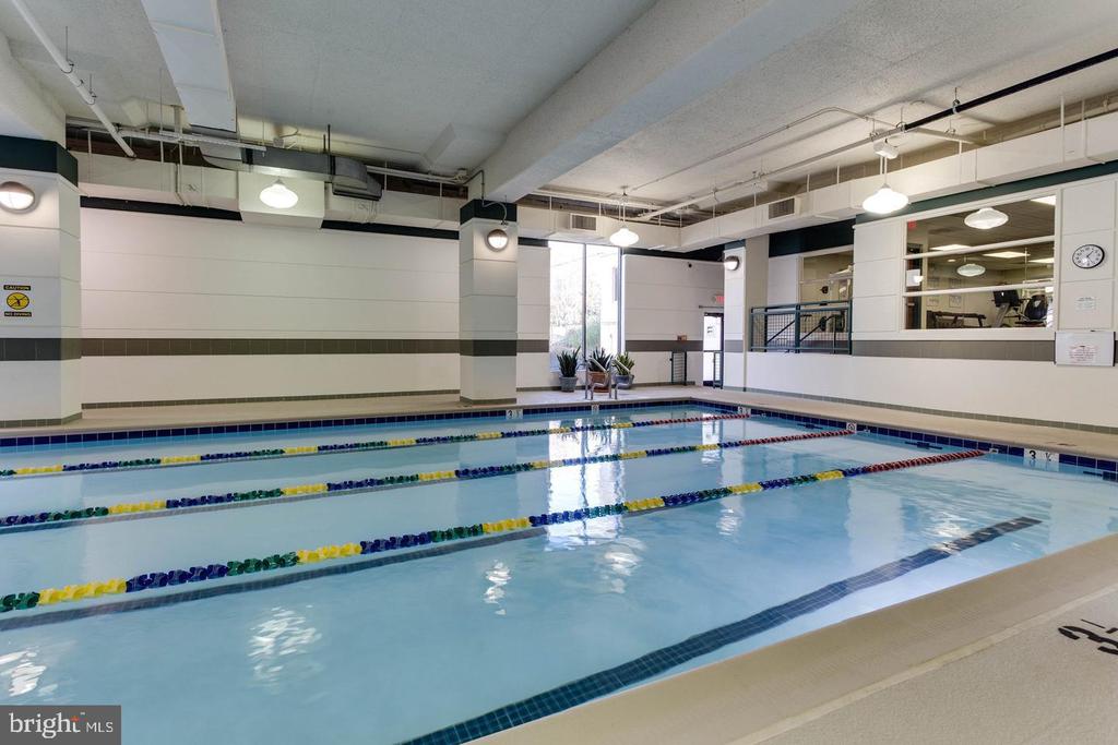 307 YOAKUM PARKWAY Unit: 816