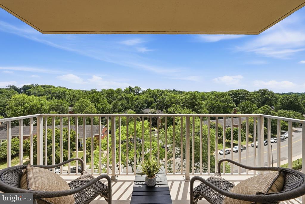 1225 MARTHA CUSTIS DRIVE Unit: 717