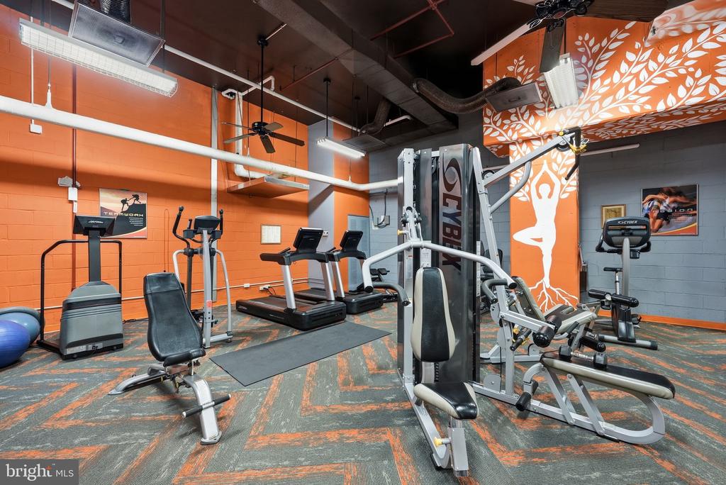 1225 MARTHA CUSTIS DRIVE Unit: 717