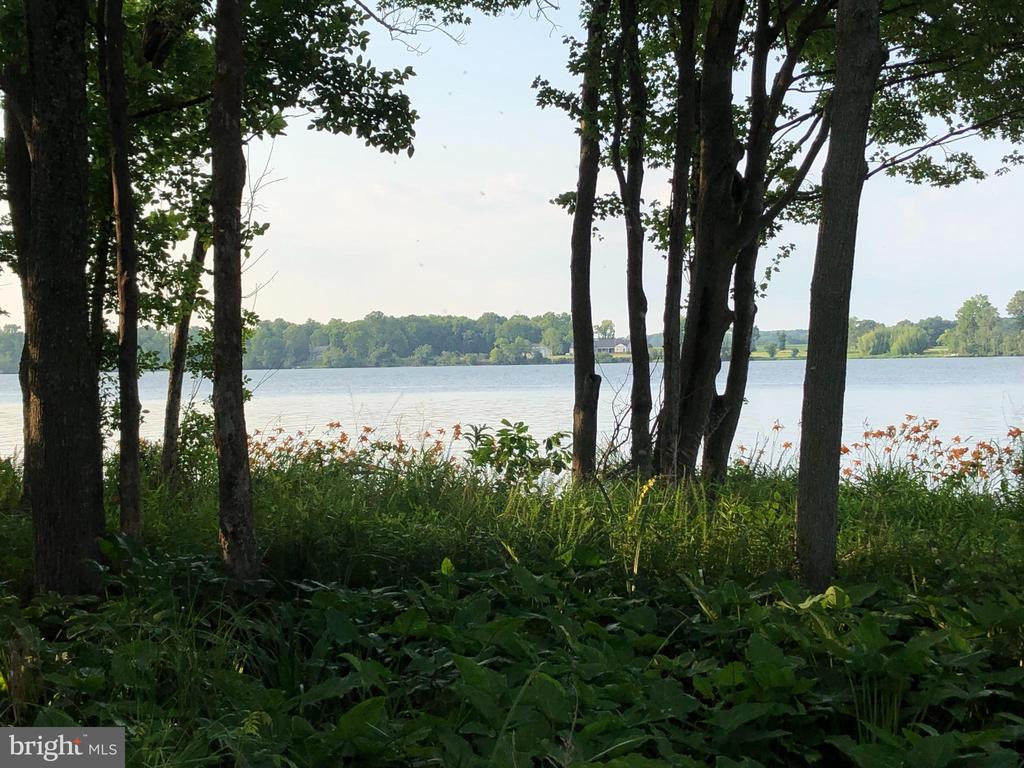 26373 TIDEWATER TRAIL