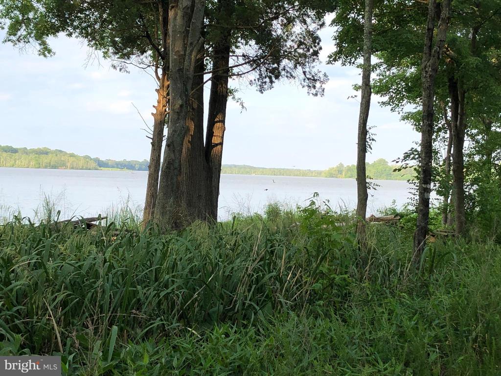 26373 TIDEWATER TRAIL
